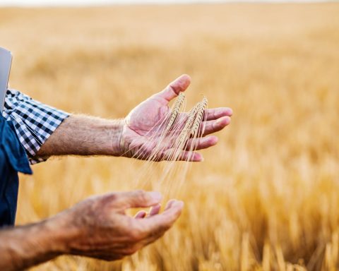 agricultura fermieri